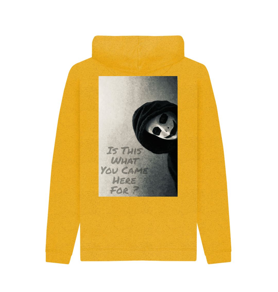 Don't Forget The Chaos "Is This What You Came Here For" Unisex Hoodie