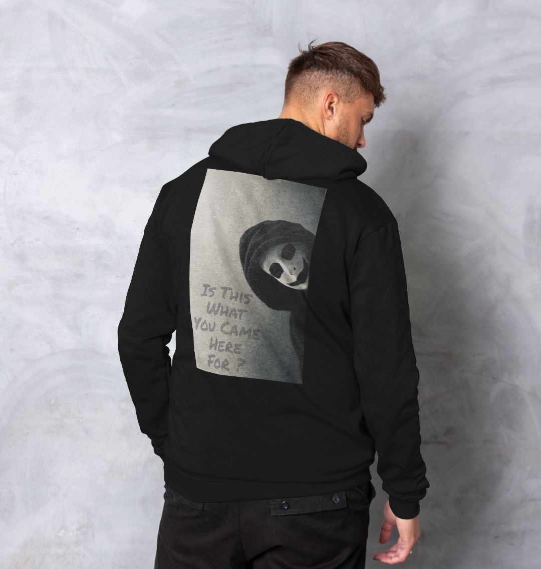 Don't Forget The Chaos "Is This What You Came Here For" Unisex Hoodie