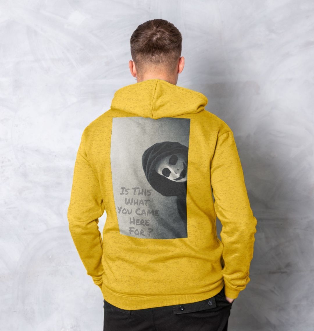 Don't Forget The Chaos "Is This What You Came Here For" Unisex Hoodie