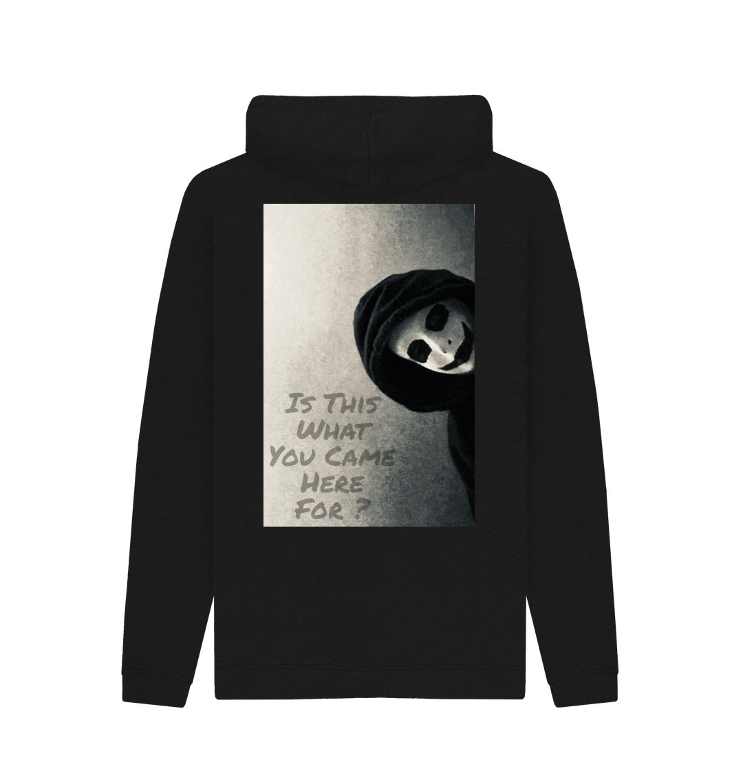 Don't Forget The Chaos "Is This What You Came Here For" Unisex Hoodie