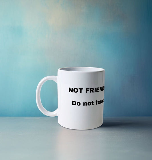 Don't Forget The Chaos "Not Friendly" Mug